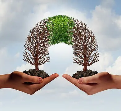 Weak Acquisition Strategy - Buy Businesses With Clear Synergies