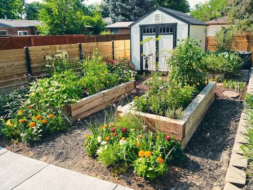 Bare Backyard Corners - Add Function Without Heavy Landscaping